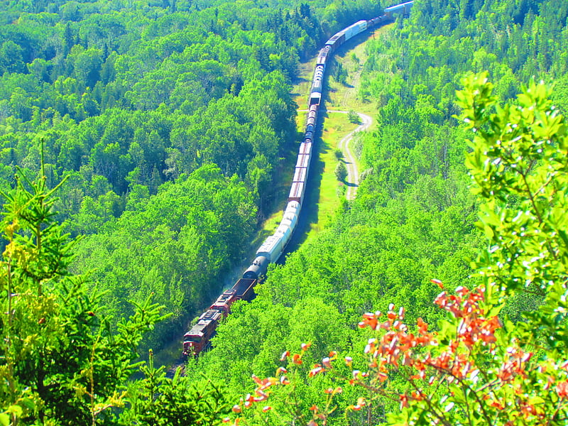 Canadian Pacific Railway freight train, railroad, forest, locomotive, train tracks, railway, train, cp rail, freight train, lakeshore, HD wallpaper