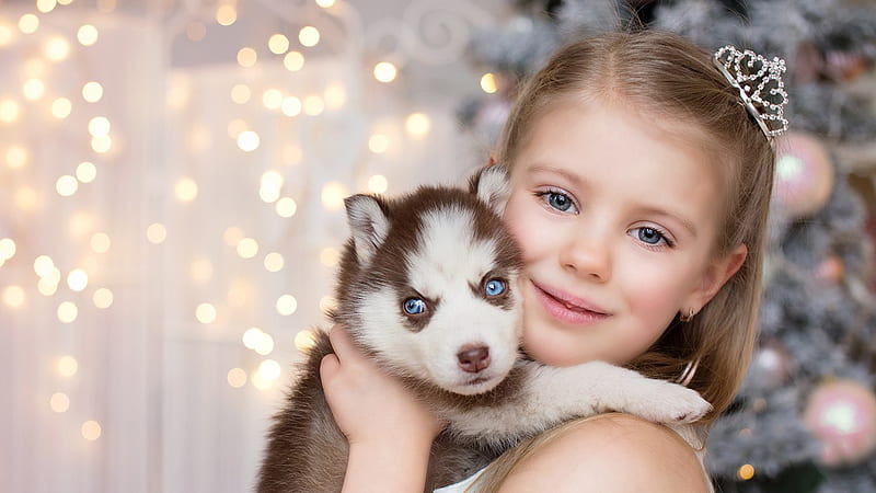 Cute Little Girl With Siberian Husky Puppy Is Standing In Christmas Tree Lights Bokeh Background Wearing White Dress Cute, HD wallpaper