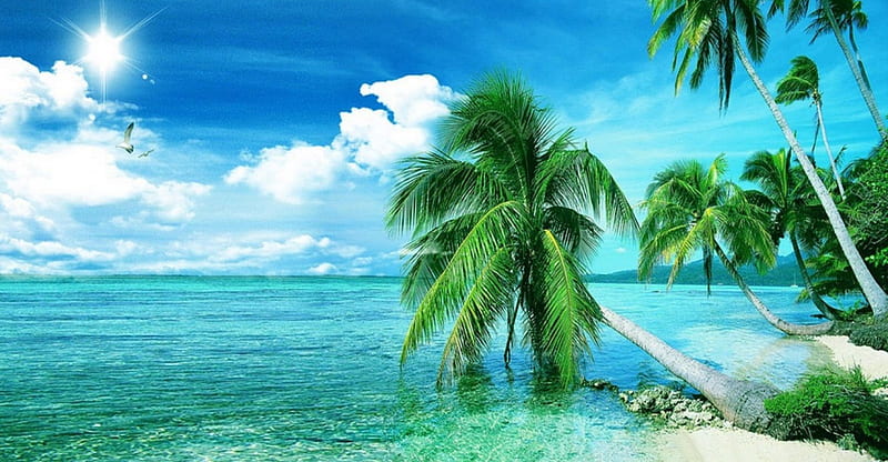 Sunny Beach, white sand, sun, birds, bonito, clouds, palm trees, sea, beach, paradise, mountains, summer, tropical, HD wallpaper