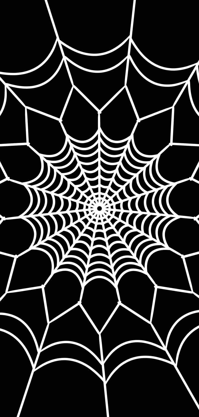 Spider Web, allthethingsidoarecool, black and white, cool, i never know, idk, looks like a flower, HD phone wallpaper