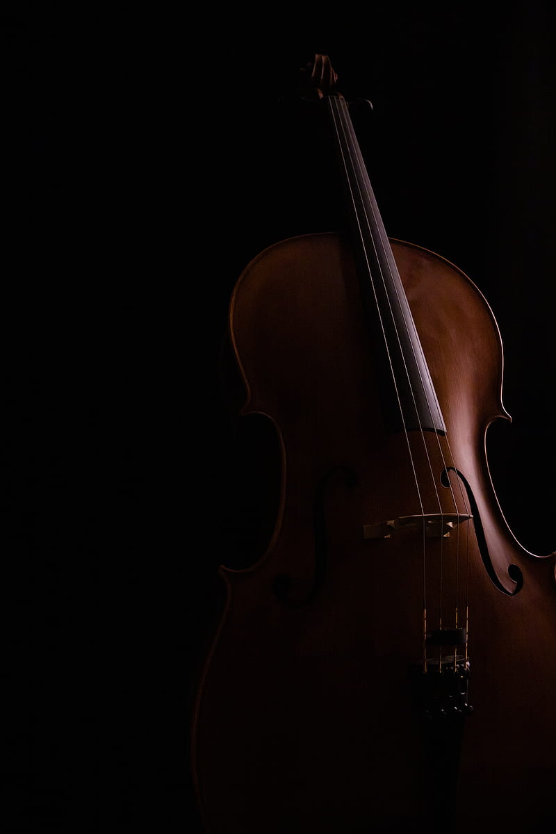 cello, musical instrument, dark, HD phone wallpaper