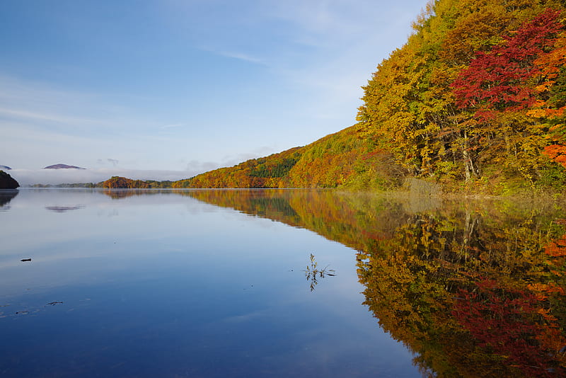 lake, trees, reflection, autumn, HD wallpaper