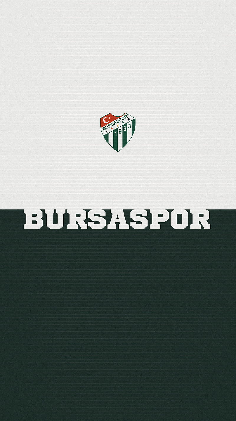 Bursaspor , bursa, bursaspor, football, green, teksas, white, HD phone wallpaper