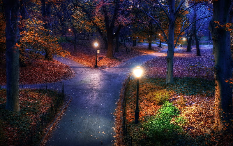 Autumn Walkway at Night, walkway, leaves, autumn, night, lamp posts, HD wallpaper