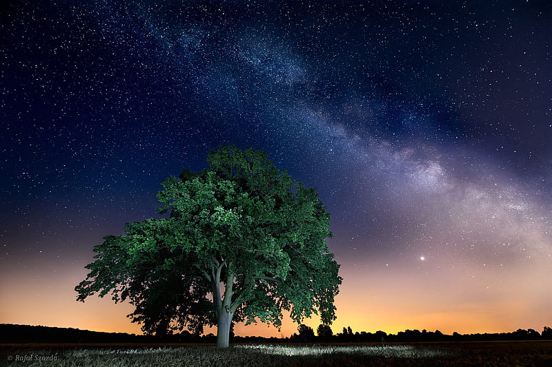 Earth, Night, Nature, Sky, Starry Sky, Stars, HD wallpaper