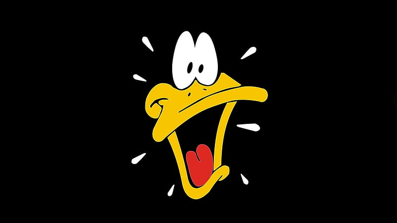 daffy duck, duck, daffy, beak, face, eyes, HD wallpaper