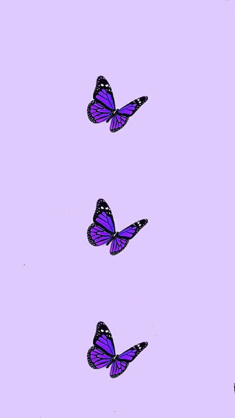 Purple . Purple butterfly , Butterfly background, Purple phone, Small Butterflies, HD phone wallpaper