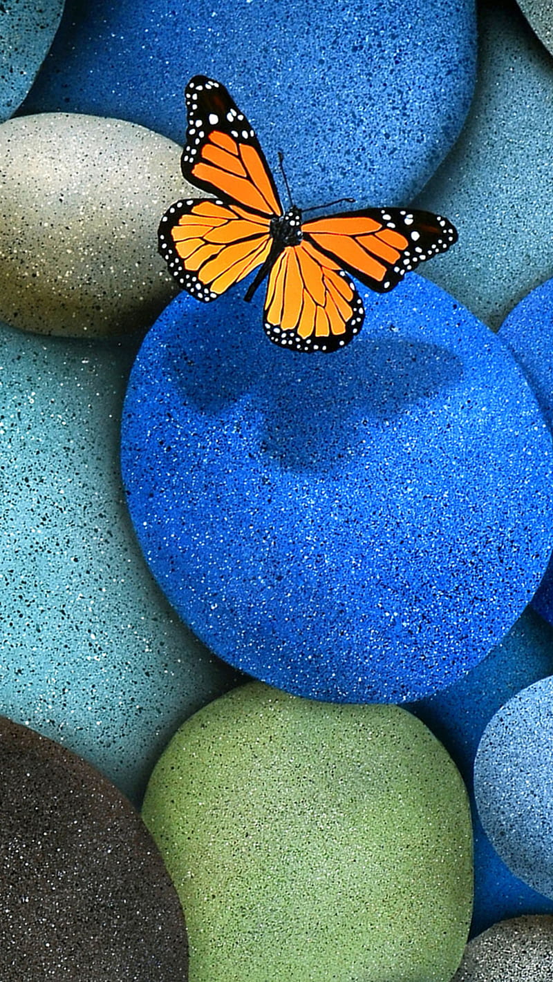 papillon, blue, butterfly, stones, HD phone wallpaper