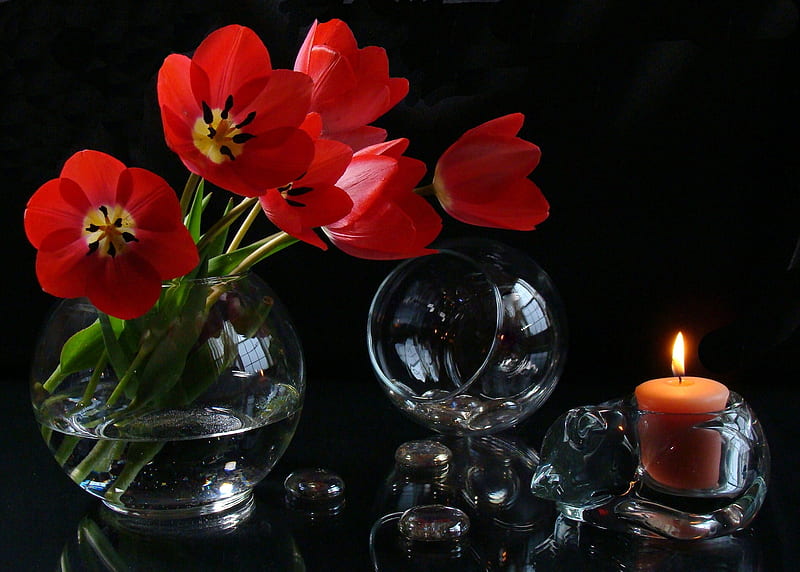 Still Life, with love, red, pretty, red tulips, glasses, vase, bonito, graphy, flowers, beauty, tulips, for you, tulip, light, candle, lovely, romantic, romance, candles, glass, red tulip, dark, nature, HD wallpaper