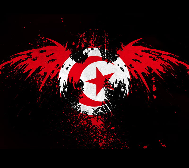 Tunisia, arab, flag, HD wallpaper