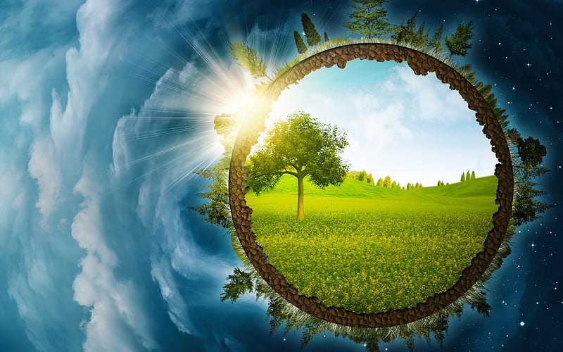 Earth, environment concepts, take care of the Earth, ecology concepts trees, green grass, HD wallpaper