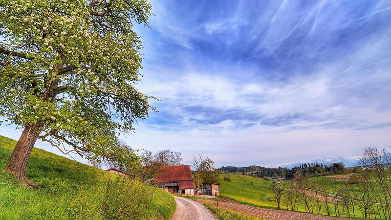 beautiful rural scene r, rural, farms, r, trees, sky, HD wallpaper