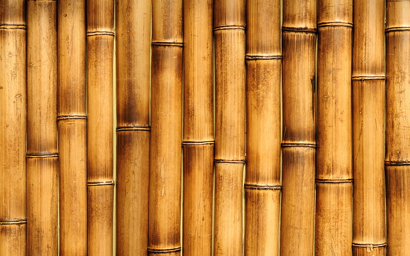 brown bamboo texture macro, bamboo textures, bamboo canes, bamboo, brown wooden background, HD wallpaper
