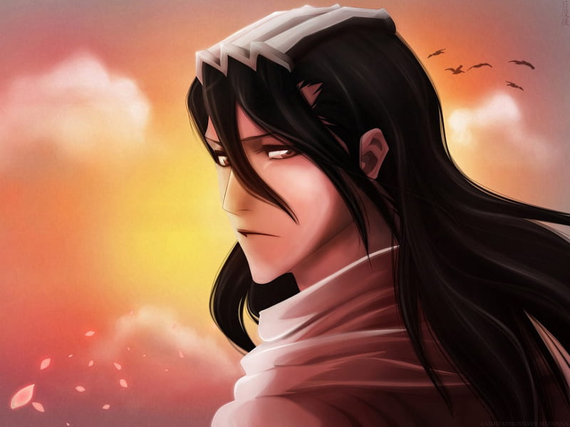 Dignified Sunset, kuchiki, cloud, orange, black, sunset, sky, captain, shinigami, cool, strong, white, dignity, noble, HD wallpaper