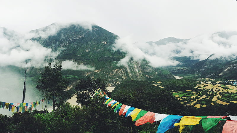 assorted-color flags hanging on forest, HD wallpaper