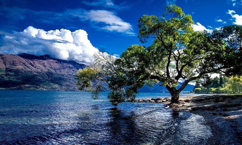 Lake-Wakatipu-Queenstown-New-Zealand, Lake, New Zealand, Trees, Nature, HD wallpaper