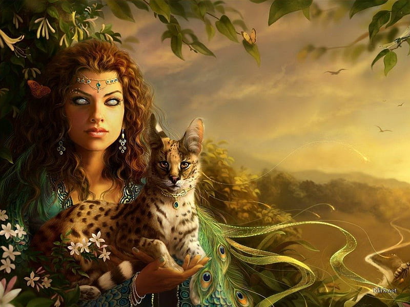 Queen of the cats, forest, peacock feathers, cloudy sky, birds, ocelot, trees, cat, woman, green dress, fantasy, butterfly, haunting blue eyes, cats, fairy, HD wallpaper