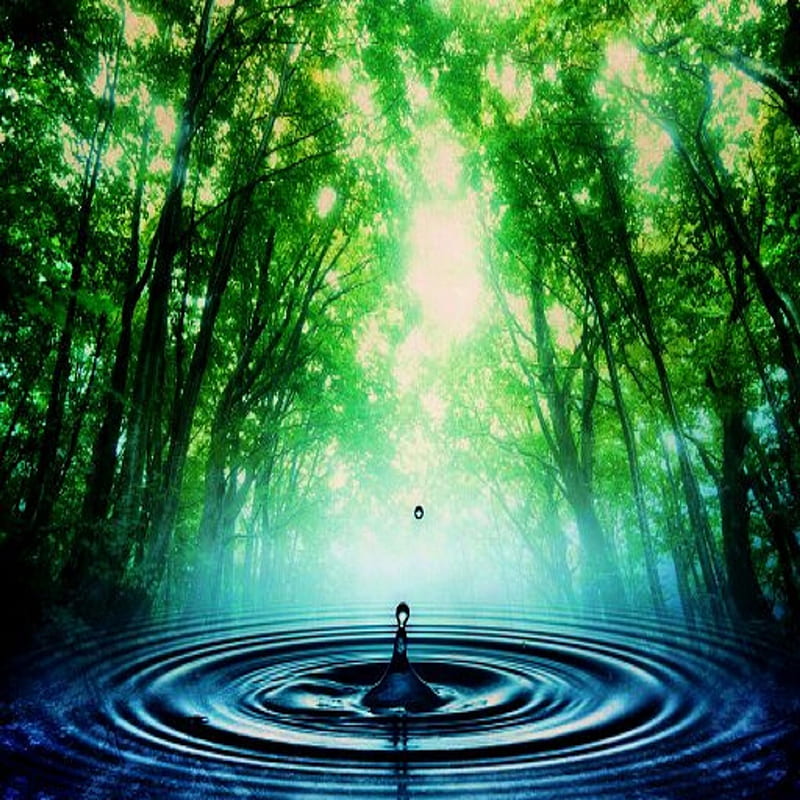 Zen waters, blue, drop, forest, green, magic, peaceful, water, HD phone wallpaper