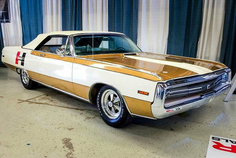 Some Of The Rarest Muscle Cars That Made It Into Production, White, Classic, Gold, Muscle, HD wallpaper