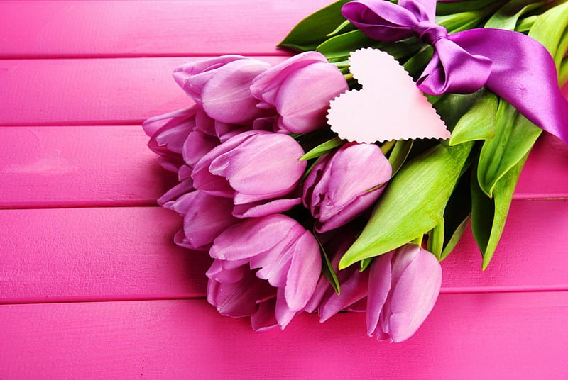 Flowers with love, pretty, colorful, bonito, harminy, nice, love, flowers, tulips, pink, lovely, delicate, wall, gift, purple, bouquet, heart, passion, HD wallpaper