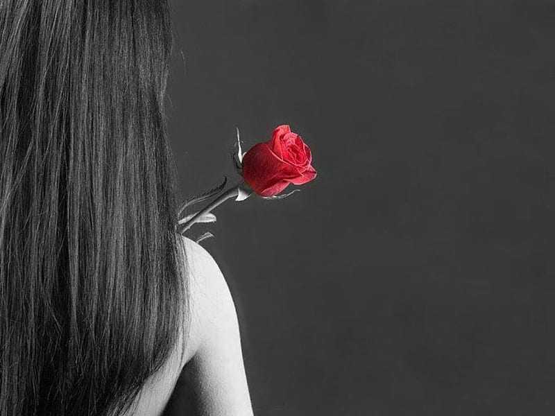 Ego non intellego cur, red, rose, woman, hairs, HD wallpaper
