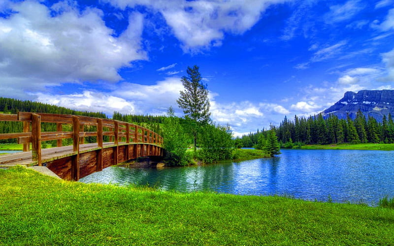 Pond surrounded by Rocky mountains, shore, grass, rocky mountain, greenery, bonito, trees, sky, que, lake, pond, mountain, bridge, nature, blue, HD wallpaper
