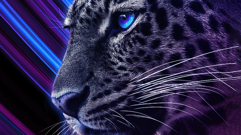 Cheetah Galaxy Eyes , cheetah, animals, artist, artwork, digital-art, HD wallpaper
