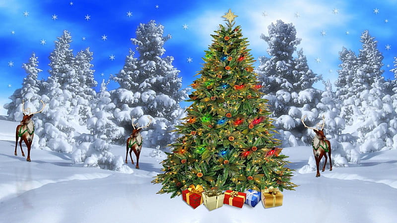Wilderness Christmas Scene, tree, warm, christmas, fascinating, HD wallpaper