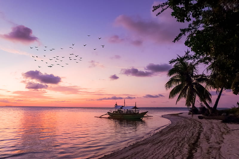 Boat on seashore, HD wallpaper | Peakpx