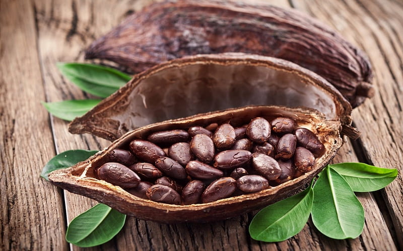 Cocoa Beans, cocoa, nature, shells, beans, HD wallpaper