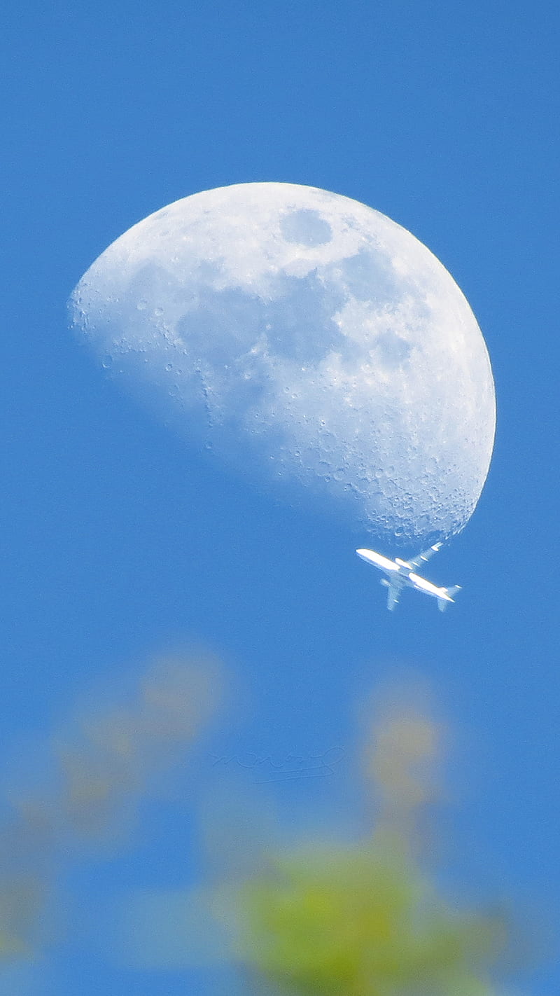 Moon and plane, avion, fullmoon, moon, orlandofl, space, us, HD phone wallpaper