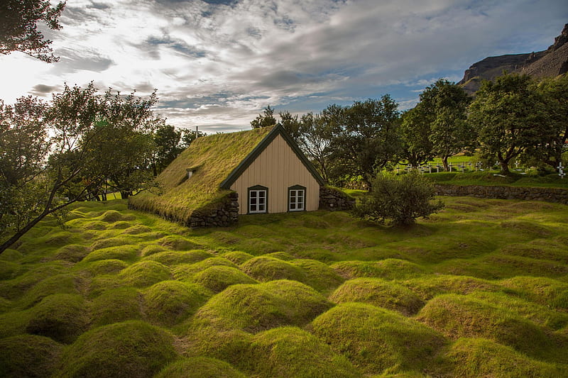 the church with a grass roof, fields, grass, trees, church, moss, HD wallpaper