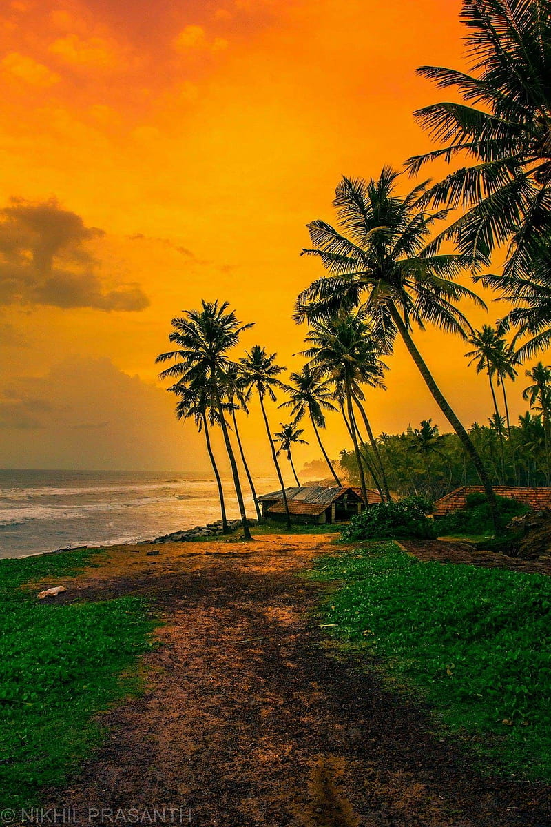 Varkala Beach, Kerala. Beautiful of nature, Beautiful graphy nature, Beautiful nature, HD phone wallpaper