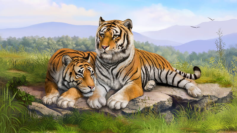 Tigers Art, tigers, artist, art, digital-art, HD wallpaper