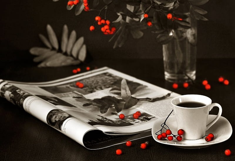 The coffee hour, twigs, magazine, coffee, berries, mug, HD wallpaper