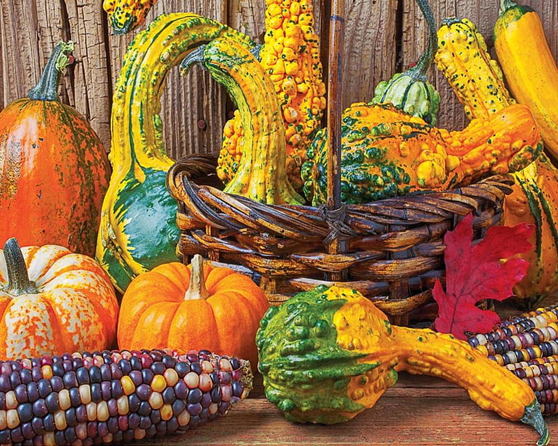 Pumpkins, colorful, autumn, green, orange, pumpkin, halloween, toamna, yellow, basket, HD wallpaper