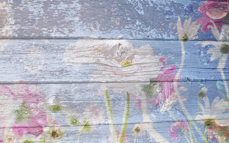 Summer Wall, board, , summer, flowers, pastel, wall, HD wallpaper