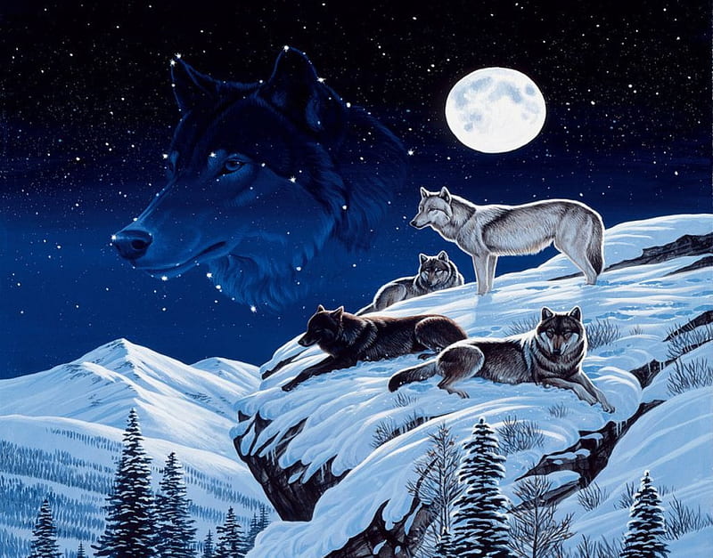 Noche de lobos, estrellas, luna, depredadores, manada de lobos, obra de  arte, Fondo de pantalla HD | Peakpx