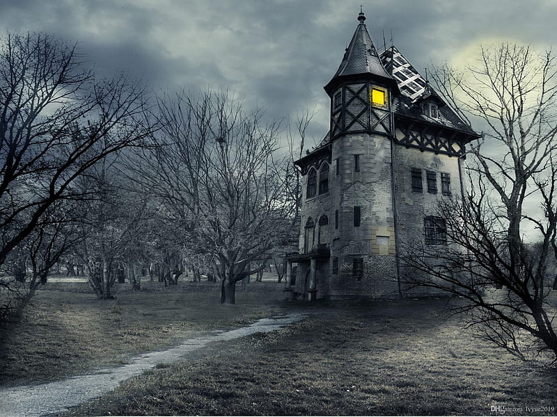 Wholesale Stylish And Cheap BRAND Halloween Castle Night Vinyl graphy Backdrops Haunted House Trees Booth Background For Children Birtay Party Studio Props, Spooky Castle, HD wallpaper