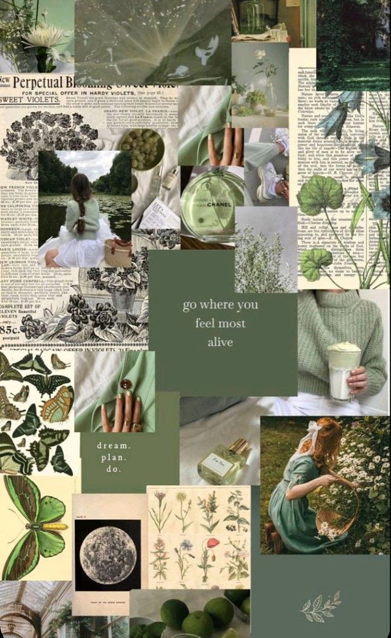 23 Sage Green Collage Wallpapers  WallpaperSafari