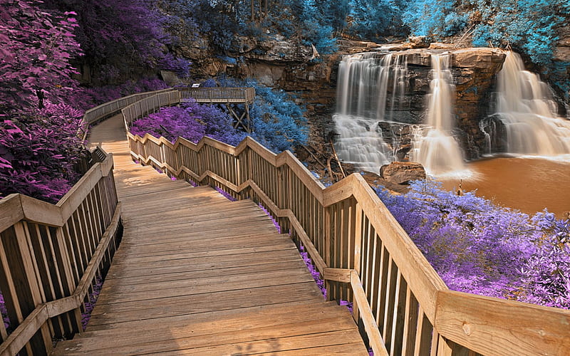 Blackwater Falls, West Virginia, usa, wooden, rocks, stones, path, trees, HD wallpaper