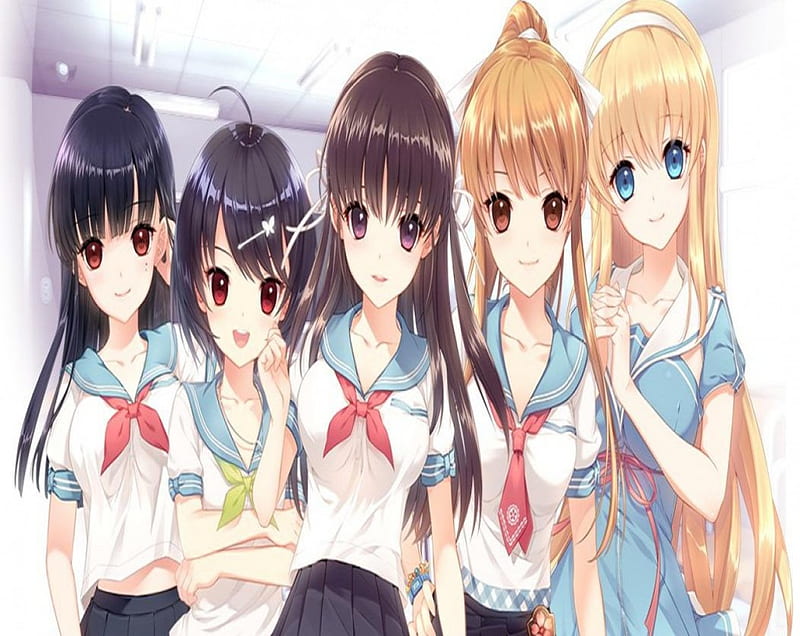 Classmates, cute, school, pretty, girls, orginal, seifuku, long hair, friends, HD wallpaper