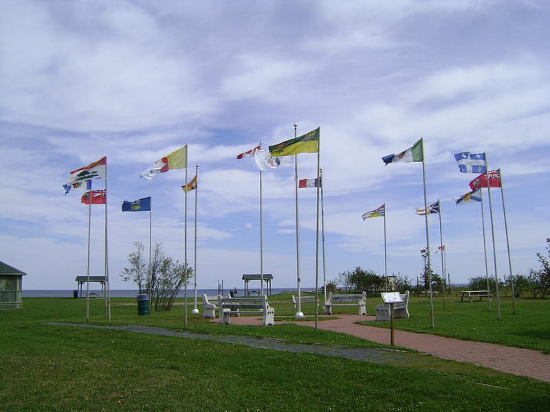 Acadian flag, pole, flags, grass, windy, HD wallpaper