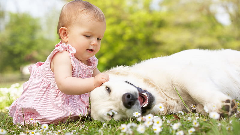 Baby Playing With Dog Cute, HD wallpaper