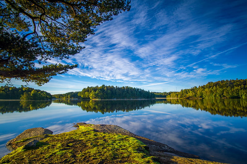 lake, shore, trees, landscape, water, reflection, HD wallpaper