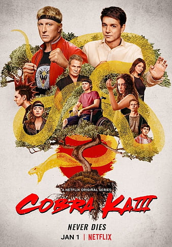 cool cobra kai wallpaperTikTok Search