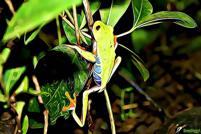 FROG CLIMBING, CLIMBING, FROG, FRACTAL, ABSTRACT, HD wallpaper | Peakpx