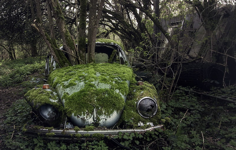 Vehicles, Wreck, Abandoned, Car, Moss, HD wallpaper