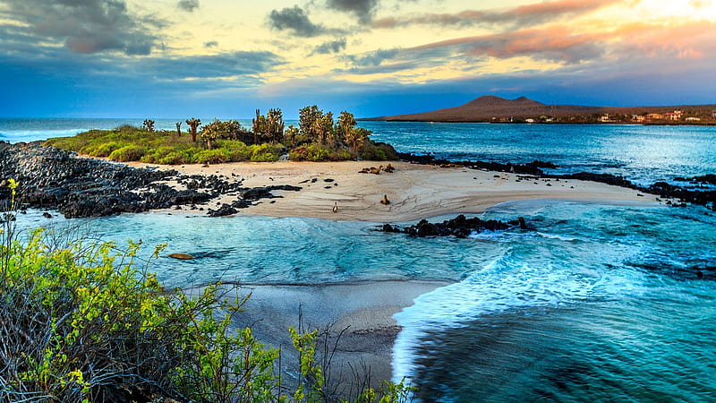 Galapagos Islands, Sand, Islands, Oceans, Nature, sunsets, HD wallpaper