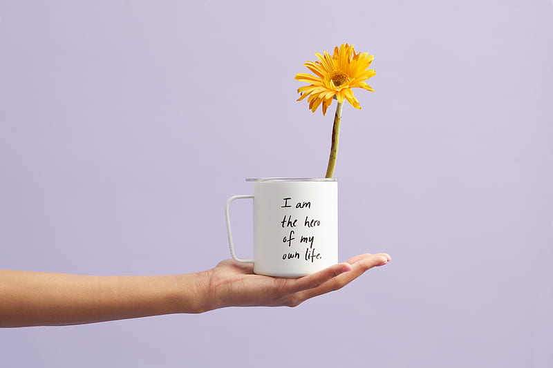 mug, inscription, self-affirmation, motivation, flower, hand, HD wallpaper
